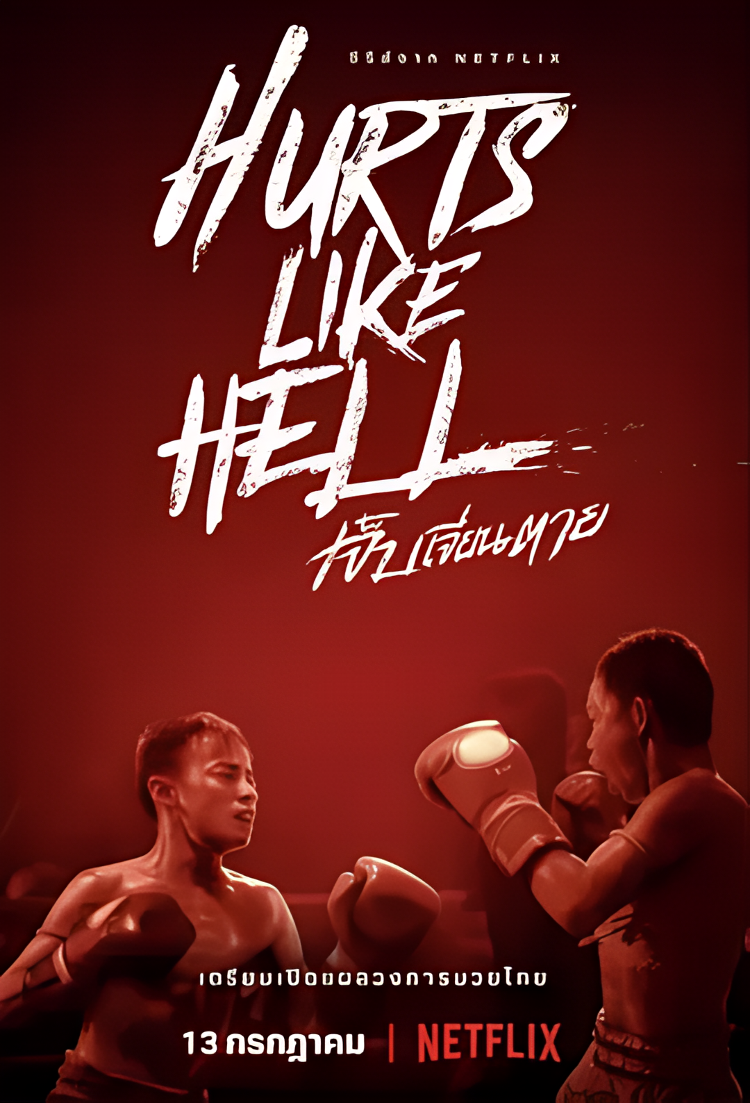 痛心疾首：泰拳真面目