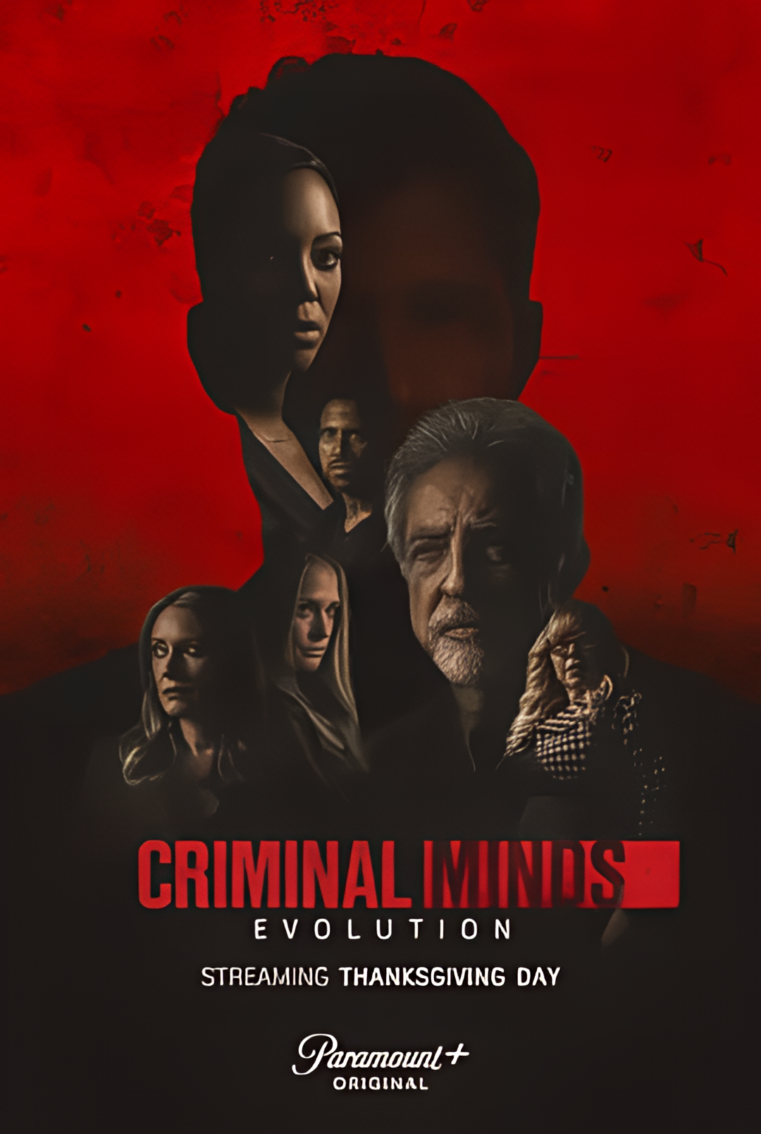 犯罪心理：演变 第十六季