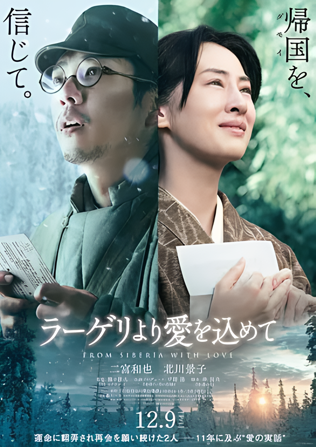 来自收容所的爱