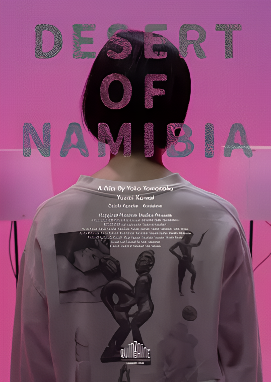 纳米比亚的沙漠