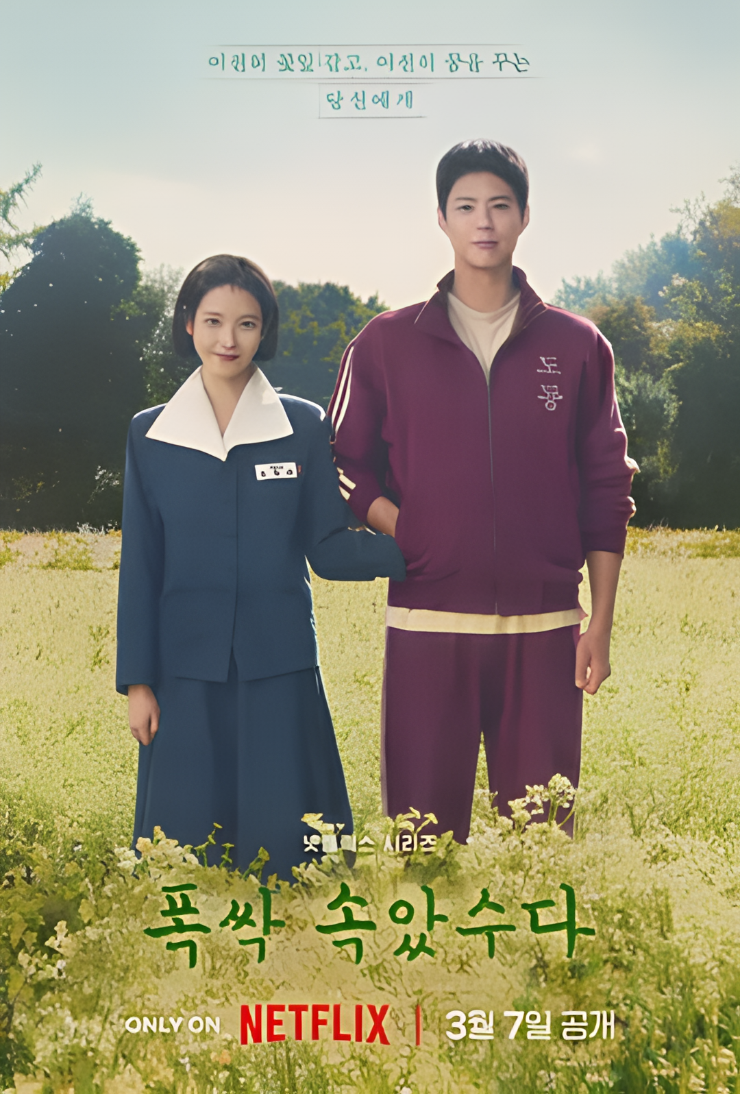 苦尽柑来遇见你