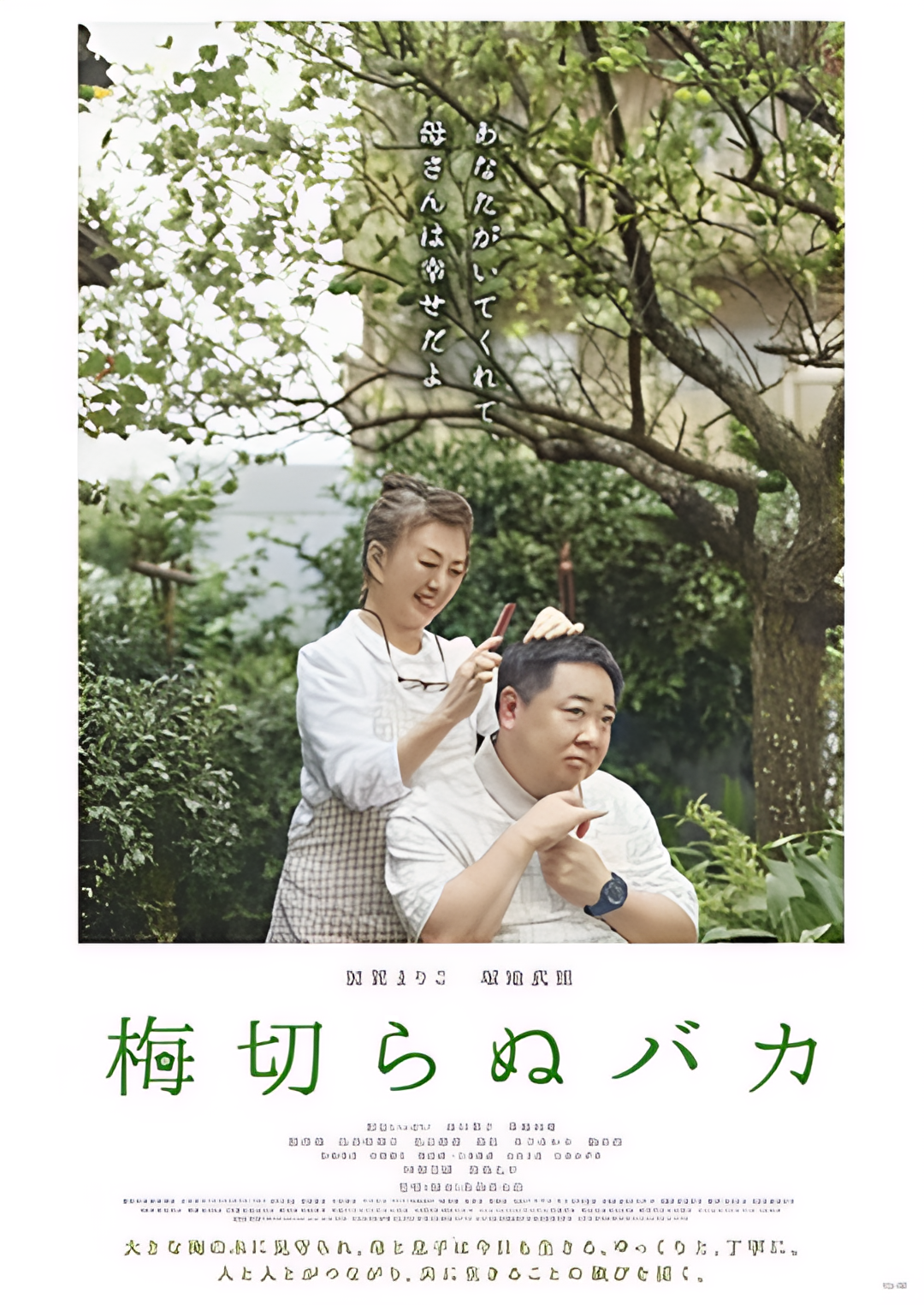 不砍梅树的傻瓜