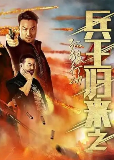 兵王归来之孤狼行动