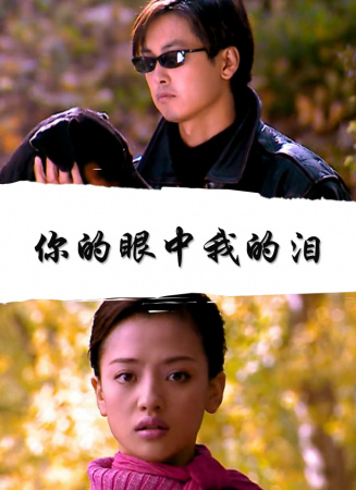 你的眼中我的泪