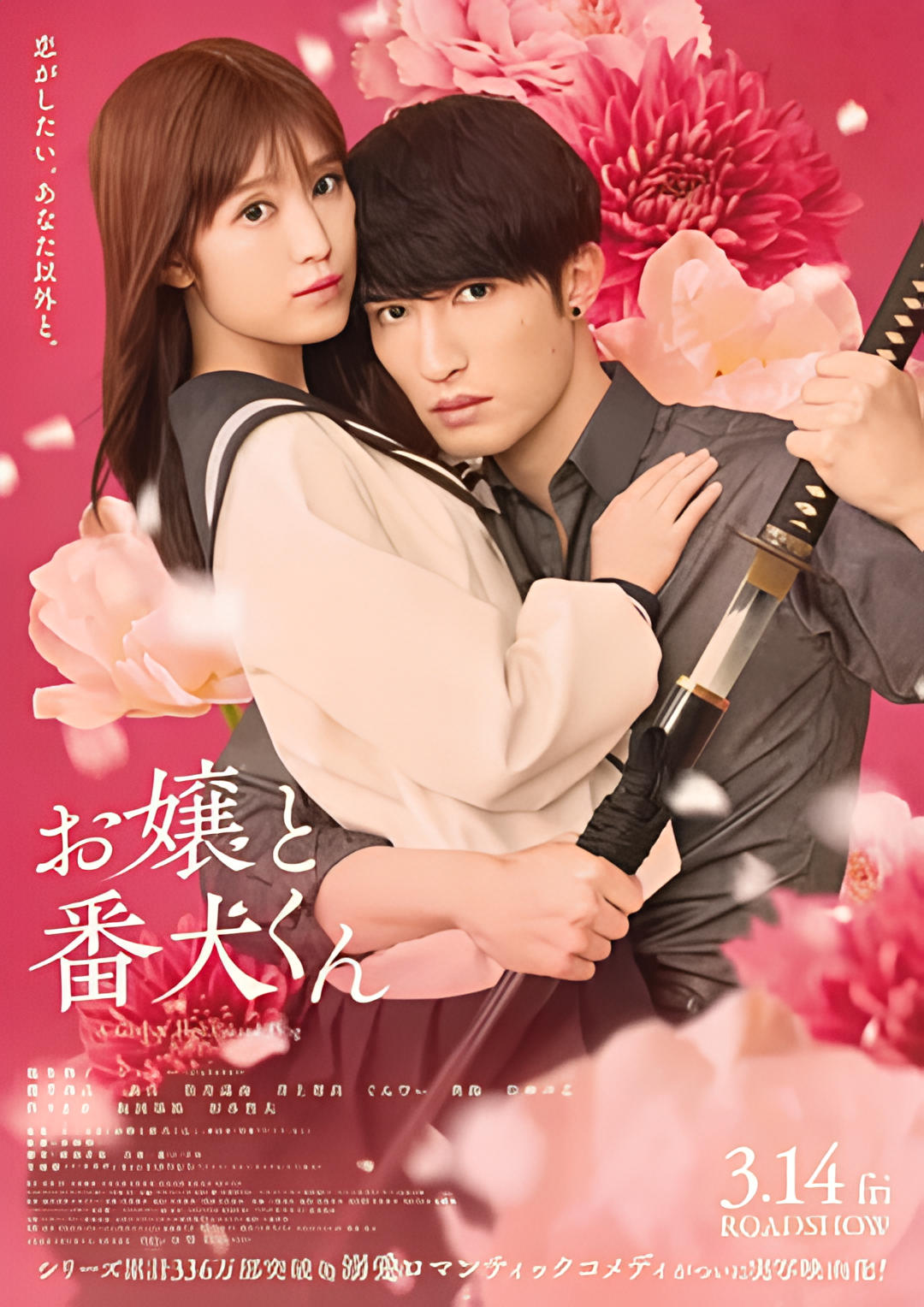 大小姐和看门犬