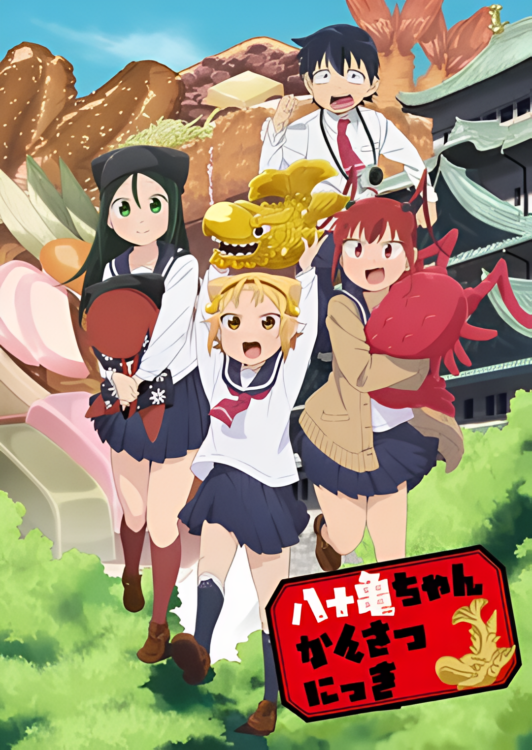 八十龟酱观察日记