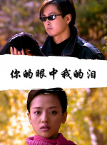 你的眼中我的泪