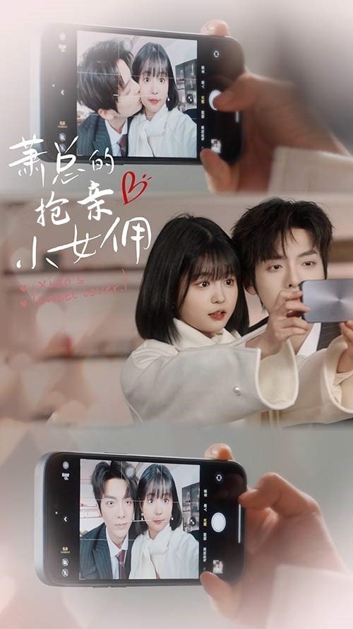 萧总的抢亲小女佣