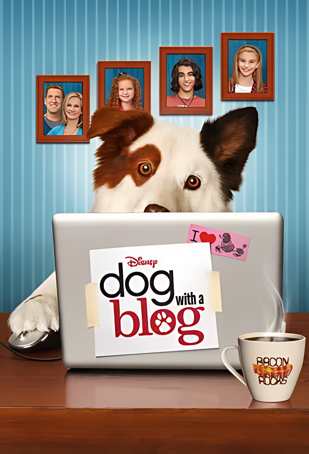 狗狗博客 第一季