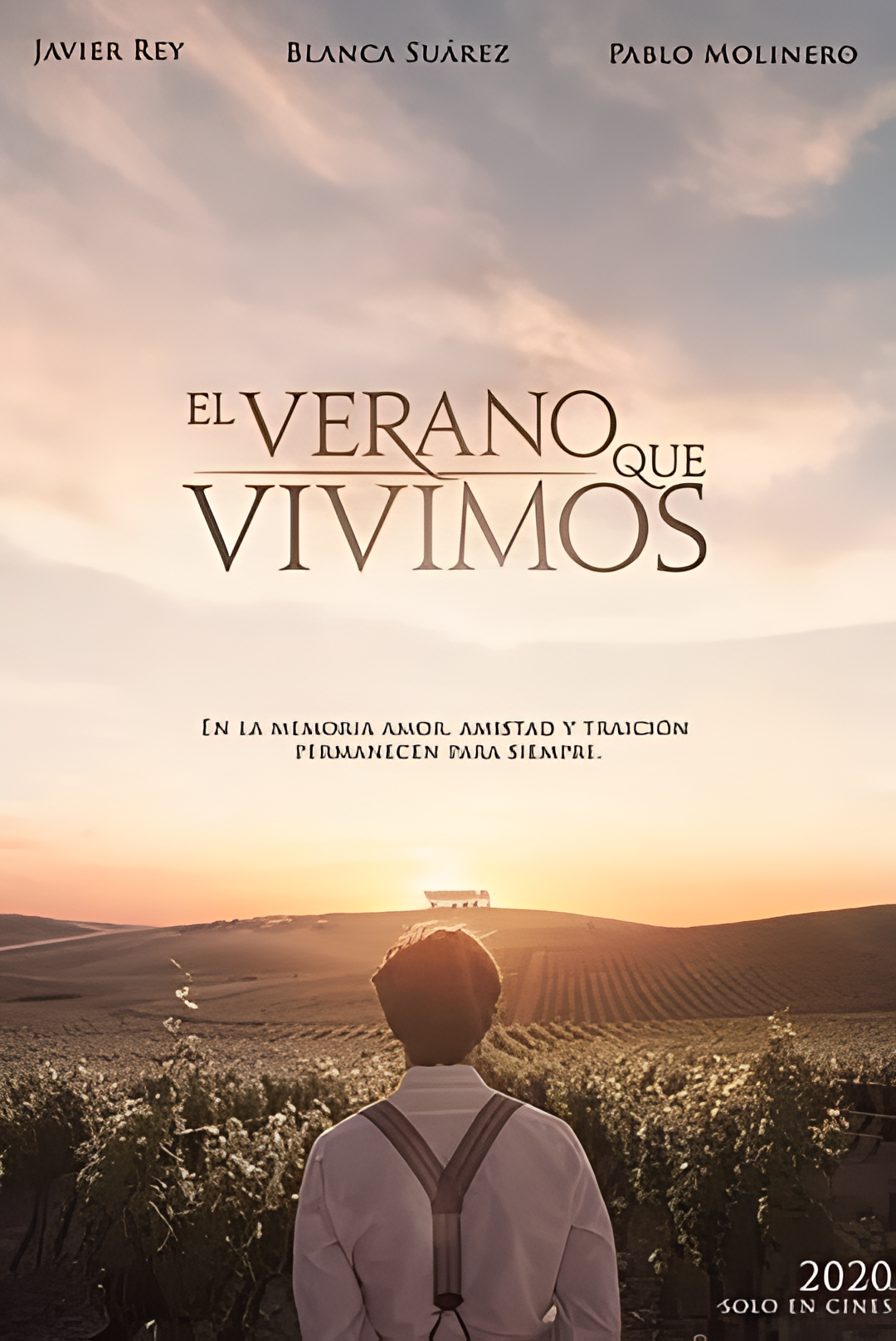 我们生活的夏天