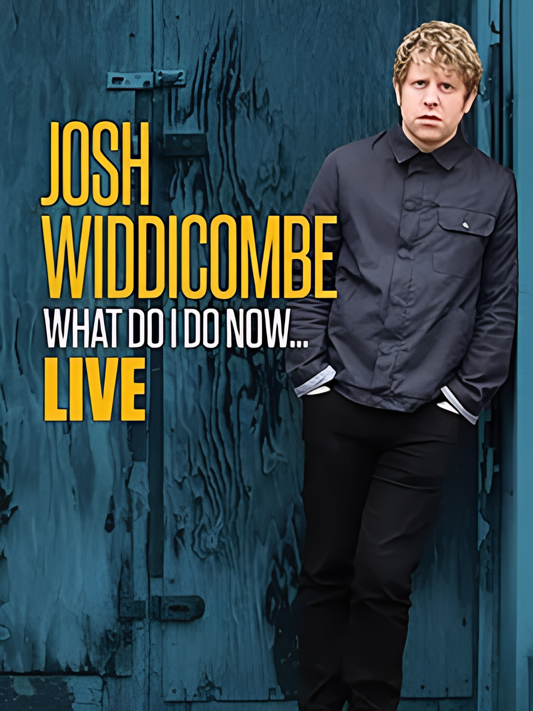Josh Widdicombe: What Do I Do Now